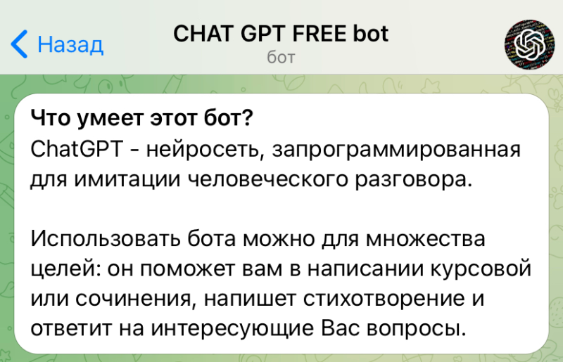 Как зайти в ChatGPT из России