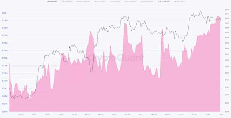 CryptoQuant: киты пребывают в режиме накопления биткоинов