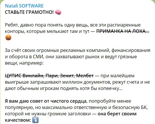 Обзор канала Telegram Natali SOFTWARE – отзывы о Натали Фроловой @NatysikVip