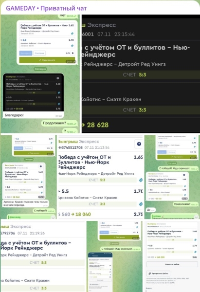 Канал Telegram GAMEDAY • Приватный чат (Andrew) – реальные отзывы