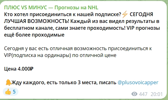 Канал Телеграм ПЛЮС VS МИНУС – Прогнозы на NHL – реальные отзывы о Виталии