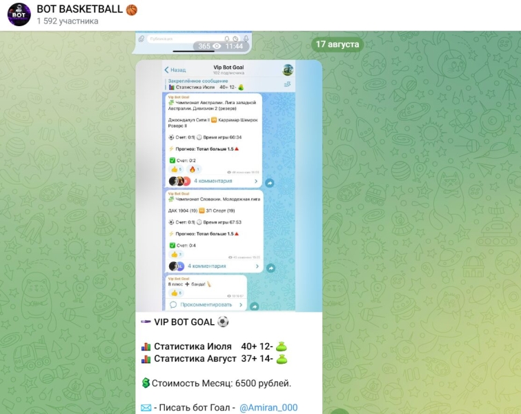 Обзор телеграм-проекта BOT BASKETBALL, отзывы о канале Бот баскетбол